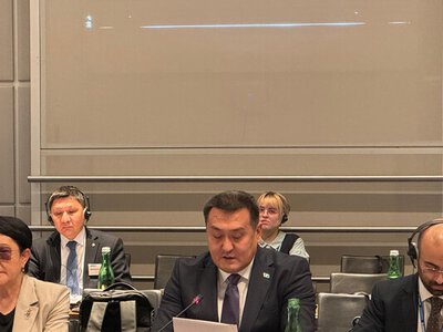 МЧС Казахстана усиливает международное взаимодействие в сфере снижения рисков бедствий