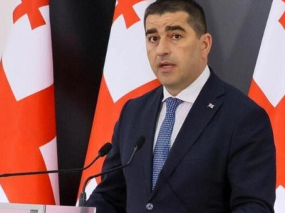 «Грузинская мечта» внесла иск в Конституционный суд с требованием запрета трех партий