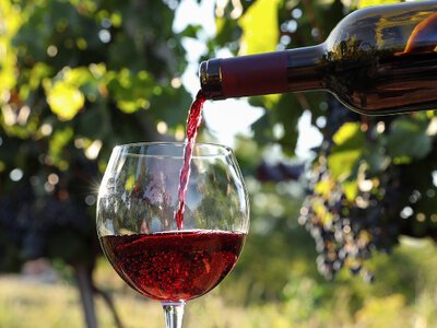 Вы этого не знали: врач раскрыл ужасную опасность красного вина