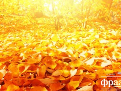 Украинцам рассказали, какой будет погода в первые дни ноября