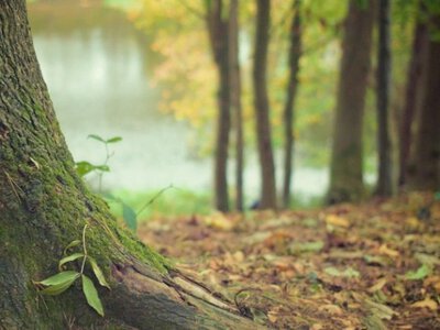 После солнечного понедельника Украину накроет похолодание и дожди 