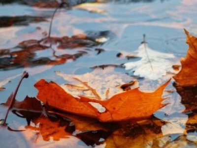 Украинцам рассказали, где в ближайшие дни пройдут дожди