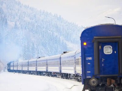 Бесплатные 3000 км на поездах по Украине: как будет работать новая программа