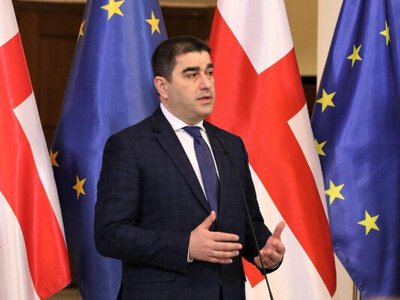 Папуашвили:  Грузия продолжит готовить страну к членству в ЕС