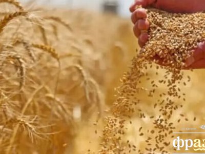 В этом году в Украине ожидается богатый урожай