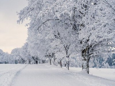 Сказали, будет ли в этом году ранняя зима