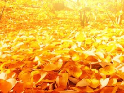 В выходные украинцев ждет весьма разноплановая погода