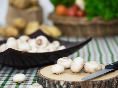 Секретный способ мариновать шампиньоны: быстрее не бывает!