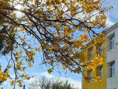 Солнце — вместо розетки: лицей под Одессой перешел на «зеленую» энергию