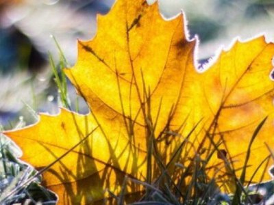 В Украину продолжает врываться зима