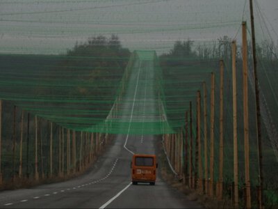 Reuters: план США по завершению войны включает отказ Украины от территорий