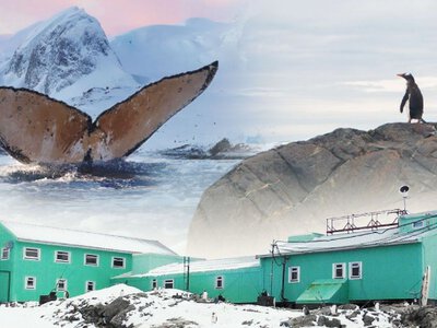 Станция Академик Вернадский: как живут украинские полярники