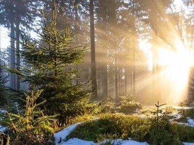 Снегопады и морозы или теплая зима: какой будет погода в декабре