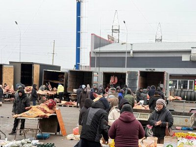 Казахстанцы с начала года приобрели 7,9 тысяч тонн продукции на сельскохозяйственных ярмарках