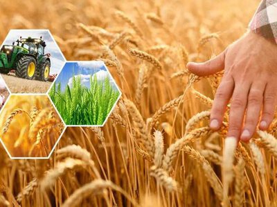 В аграрном секторе региона сохраняется положительная динамика