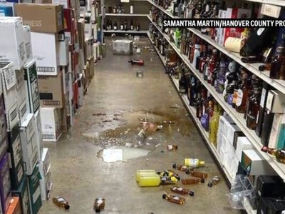 Енот устроил пьяный беспредел в винном магазине (фото)