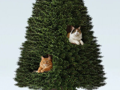 Для кошек изобрели специальную елку, которую пушистики не смогут опрокинуть