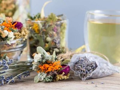 Как 95-летний травник помог ученому избавиться от болей в суставах