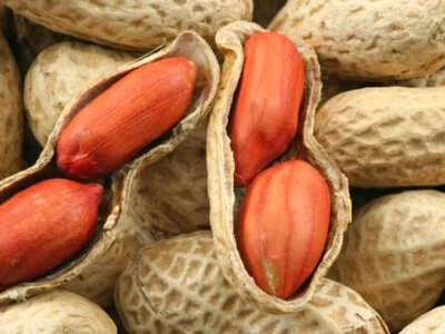 Почему все внезапно заговорили об арахисе — вы не поверите, в чем дело