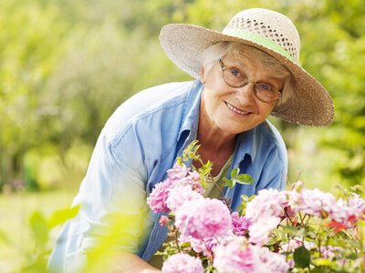 Пенсионное удостоверение нового образца: как получить и кто должен это сделать 