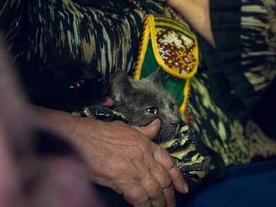 Возможность выезда из приграничья Сумщины может усложняться, но до 4 тыс. жителей отказываются от эвакуации - ОВА