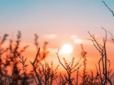 Холодно и без осадков: какой будет погода в Украине на Рождество