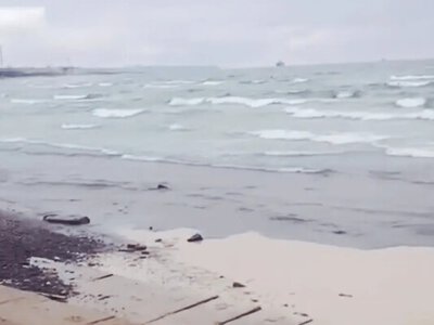 Черное море с пятнами масла: дошло ли загрязнение до Куяльницкого лимана