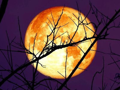 Волчье полнолуние 2026: календарь ярких ночных небесных явлений