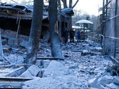 Российская авиабомба попала в экопарк под Харьковом. Погибли птицы, ранены львы