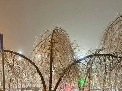 Прогноз на выходные: мороз усилится, ветер утихнет, а на юг и восток надвигается новый циклон