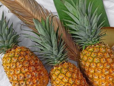 Медики назвали фрукт, который убережет от простуды и гриппа