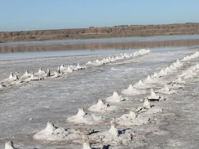 Одесское «белое золото»: на Куяльнике планируют добывать половину всей соли Украины