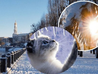 Синоптики прогнозируют постепенное потепление в Украине. Еогда будет плюс? 