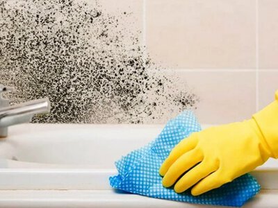 Как избавиться от плесени на стенах без химикатов: три копеечных средства