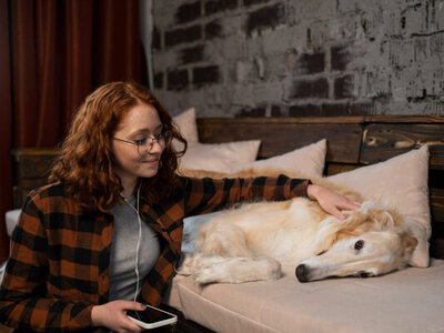 5 секретов, чтобы кот или собака ждали вас спокойно