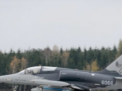 Бабиш заявил, что поставок самолетов в Украину из Чехии нет и не будет 