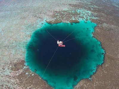 Ученые обнаружили жизнь в «Драконьей дыре» Южно-Китайского моря