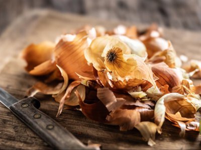 Не выбрасывай шелуху лука: семь полезных советов