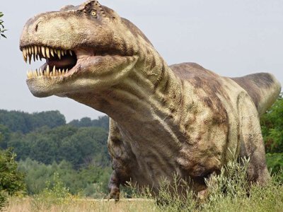 Какое мясо динозавра на вкус: ученые дали неожиданный ответ