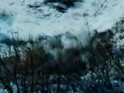 Возле Покровска украинские дроны помогли защитникам избежать плена: в ДШВ показали видео