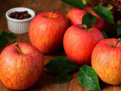 Сколько яблок можно есть в день: не перебирайте норму, чтобы не навредить