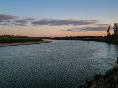 Грязная вода и пустеющее русло. Почему Урал теряет жизнь и можно ли его спасти