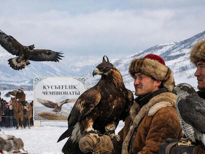 В ВКО проходит чемпионат по құсбегілік