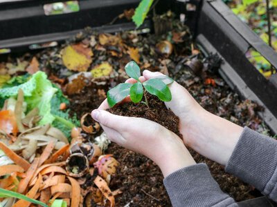 До 40 лиц и предприятий оштрафовали за нарушение кодекса управления отходами