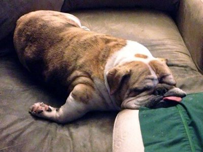 Узнай правду: эти 6 простых вещей воруют твою энергию — перестань делать их сейчас!