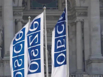 Что интересует экспертную группу ОБСЕ в Грузии, в рамках «Московского механизма»?