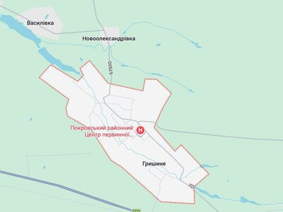 Силы обороны зачистили восточную часть Гришино в Донецкой области от оккупантов