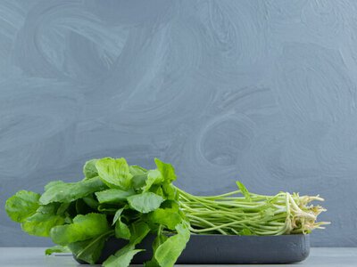 Как сохранить зелень свежей без холодильника: секрет, который знали еще бабушки