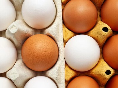 Яйца после срока годности: можно ли их есть и как проверить на безопасность