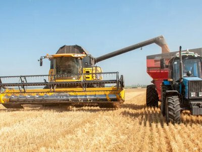 Как аграрии Одесщины спасают урожаи от климатических изменений: новые технологии и смелые решения